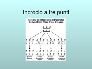 Incrocio a tre punti 