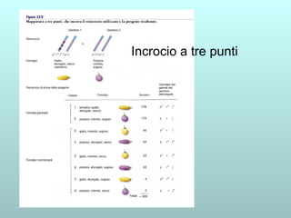 Incrocio a tre punti 