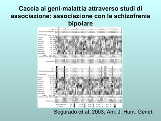 Caccia ai geni-malattia attraverso studi di associazione: associazione con la schizofrenia bipolare Segurado et al. 2003, Am. J. Hum. Genet. 