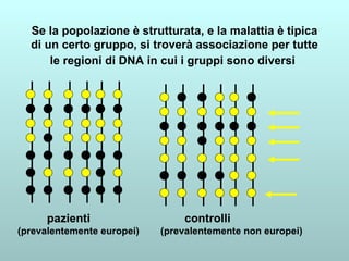 Se la popolazione è strutturata, e la malattia è tipica di un certo gruppo, si troverà associazione per tutte le regioni di DNA in cui i gruppi sono diversi   pazienti  controlli (prevalentemente europei)  (prevalentemente non europei) 