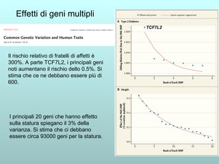 Effetti di geni multipli I principali 20 geni che hanno effetto sulla statura spiegano il 3% della varianza. Si stima che ci debbano essere circa 93000 geni per la statura. TCF7L2 Il rischio relativo di fratelli di affetti è 300%. A parte TCF7L2, i principali geni noti aumentano il rischio dello 0.5%. Si stima che ce ne debbano essere più di 600. 