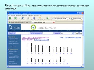 Una risorsa online:  http://www.ncbi.nlm.nih.gov/mapview/map_search.cgi?taxid=9606 