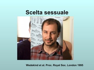 Scelta sessuale Wedekind et al. Proc. Royal Soc. London 1995 