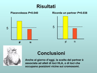 Risultati ≠  ≈ ≠  ≈ 5 5 Piacevolezza  P =0.040  Ricorda un partner  P =0.038 Conclusioni Anche al giorno d’oggi, la scelta del partner è associata ad alleli di loci HLA, o di loci che occupano posizioni vicine sui cromosomi. 