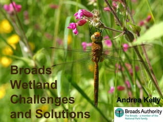 Aren't the Broads Brilliant !
Broads
Wetland
Challenges
and Solutions
Andrea Kelly
 