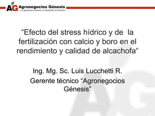 “Efecto del stress hídrico y de la
fertilización con calcio y boro en el
rendimiento y calidad de alcachofa“
Ing. Mg. Sc. Luis Lucchetti R.
Gerente técnico “Agronegocios
Génesis”
 