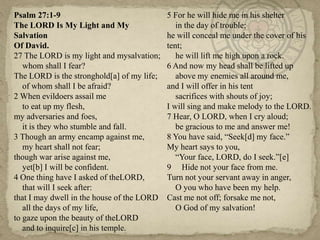 Psalm 27:1-9
The LORD Is My Light and My
Salvation
Of David.
27 The LORD is my light and mysalvation;
whom shall I fear?
The LORD is the stronghold[a] of my life;
of whom shall I be afraid?
2 When evildoers assail me
to eat up my flesh,
my adversaries and foes,
it is they who stumble and fall.
3 Though an army encamp against me,
my heart shall not fear;
though war arise against me,
yet[b] I will be confident.
4 One thing have I asked of theLORD,
that will I seek after:
that I may dwell in the house of the LORD
all the days of my life,
to gaze upon the beauty of theLORD
and to inquire[c] in his temple.

5 For he will hide me in his shelter
in the day of trouble;
he will conceal me under the cover of his
tent;
he will lift me high upon a rock.
6 And now my head shall be lifted up
above my enemies all around me,
and I will offer in his tent
sacrifices with shouts of joy;
I will sing and make melody to the LORD.
7 Hear, O LORD, when I cry aloud;
be gracious to me and answer me!
8 You have said, ―Seek[d] my face.‖
My heart says to you,
―Your face, LORD, do I seek.‖[e]
9 Hide not your face from me.
Turn not your servant away in anger,
O you who have been my help.
Cast me not off; forsake me not,
O God of my salvation!

 