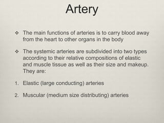 Artery
 The main functions of arteries is to carry blood away

from the heart to other organs in the body
 The systemic arteries are subdivided into two types

according to their relative compositions of elastic
and muscle tissue as well as their size and makeup.
They are:
1. Elastic (large conducting) arteries
2. Muscular (medium size distributing) arteries

 