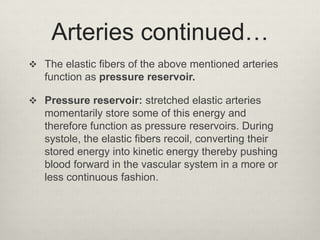 Arteries continued…
 The elastic fibers of the above mentioned arteries

function as pressure reservoir.
 Pressure reservoir: stretched elastic arteries

momentarily store some of this energy and
therefore function as pressure reservoirs. During
systole, the elastic fibers recoil, converting their
stored energy into kinetic energy thereby pushing
blood forward in the vascular system in a more or
less continuous fashion.

 