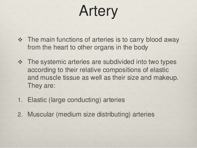 What is the function of the arteries?