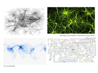 SEM image of a neural network. © Paul de Koninck, Laval University

http://goo.gl/XYYQj9

 