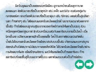 โลกในยุคแรกเป็นของเหลวหนืดร้อน ถูกกระหน่าชนด้วยอุกกาบาต
ตลอดเวลา องค์ประกอบซึ่งเป็นธาตุหนัก เช่น เหล็ก และนิเกิล จมตัวลงสู่แก่น
กลางของโลก ขณะที่องค์ประกอบซึ่งเป็นธาตุเบา เช่น ซิลิกอน ลอยตัวขึ้นสู่เปลือก
นอก ก๊าซต่างๆ เช่น ไฮโดรเจนและคาร์บอนไดออกไซด์ พยายามแทรกตัวออกจาก
พื้นผิว ก๊าซไฮโดรเจนถูกลมสุริยะจากดวงอาทิตย์ทาลายให้แตกเป็นประจุ ส่วน
หนึ่งหลุดหนีออกสู่อวกาศ อีกส่วนหนึ่งรวมตัวกับออกซิเจนกลายเป็นไอน้า เมื่อ
โลกเย็นลง เปลือกนอกตกผลึกเป็นของแข็ง ไอน้าในอากาศควบแน่นเกิดฝน
น้าฝนได้ละลายคาร์บอนไดออกไซด์ลงมาสะสมบนพื้นผิว เกิดทะเลและมหาสมุทร
สองพันล้านปีต่อมาการวิวัฒนาการของสิ่งมีชีวิต ได้นาคาร์บอนไดออกไซด์มาผ่าน
การสังเคราะห์แสง เพื่อสร้างพลังงาน และให้ผลผลิตเป็นก๊าซออกซิเจน ก๊าซ
ออกซิเจนที่ลอยขึ้นสู่ชั้นบรรยากาศชั้นบน แตกตัวและรวมตัวเป็นก๊าซโอโซน
 