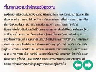 เทคโนโลยีในปัจจุบันนับว่ามีความก้าวหน้าอย่างก้าวกระโดด มีการนามาประยุกต์ใช้ใน
ด้านต่างๆอย่างมากมาย ไม่ว่าจะด้านการเรียนการสอน การสื่อสาร การคมนาคม เป็น
ต้น เพื่อความสะดวก ความสบายและย่นระยะเวลาในการทางาน การใช้งาน
อินเทอร์เน็ตก็นับเป็นส่วนหนึ่งที่มีบทบาทและความสาคัญต่อชีวิตประจาวันของผู้คน
ในปัจจุบันเป็นอย่างมาก เนื่องจากสื่อสารสนเทศทั้งหลายมีการนาเสนอในรูปแบบ
ของสื่ออิเล็กทรอนิกส์ และอินเทอร์เน็ตเป็นสื่อไร้พรมแดน ทาให้ผู้คนสามารถติดตาม
ข่าวสารจากทุกมุมโลกได้อย่างทันต่อเหตุการณ์ในทุกๆด้าน ไม่ว่าจะด้านธุรกิจการค้า
ธุรกรรมผ่านระบบออนไลน์ ด้านความบันเทิงข่าวสารที่ช่วยจรรโลงใจ เช่น ภาพยนตร์
ละคร เพลง สารคดี ก็นามาลงไว้ในอินเทอร์เน็ต และด้านการศึกษาเพื่อนใช้เป็นแหล่ง
ค้นคว้าความรู้ทั้งที่สนใจและต้องใช้ในการเรียนการสอนในโรงเรียน รวมถึงช่วยให้
นักเรียนที่ไม่มีโอกาสได้เข้าถึงคุณครูสามารถเข้าถึงครูได้ง่ายขึ้น
 