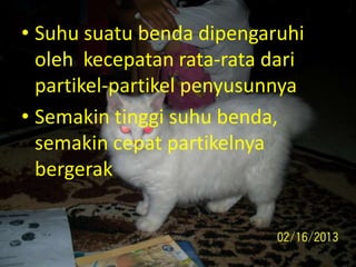 • Suhu suatu benda dipengaruhi
oleh kecepatan rata-rata dari
partikel-partikel penyusunnya
• Semakin tinggi suhu benda,
semakin cepat partikelnya
bergerak
 