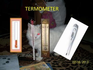 TERMOMETER
 