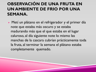 OBSERVACIÓN DE UNA FRUTA EN
UN AMBIENTE DE FRIO POR UNA
SEMANA.
Metí un plátano en el refrigerador y el primer día
note que estaba más oscuro y se estaba
madurando más que el que estaba en el lugar
caluroso, al día siguiente note lo mismo las
manchas de la cascara cubrían prácticamente toda
la fruta, al terminar la semana el plátano estaba
completamente quemado.