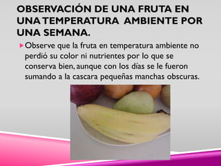 OBSERVACIÓN DE UNA FRUTA EN
UNATEMPERATURA AMBIENTE POR
UNA SEMANA.
Observe que la fruta en temperatura ambiente no
perdió su color ni nutrientes por lo que se
conserva bien, aunque con los días se le fueron
sumando a la cascara pequeñas manchas obscuras.
 