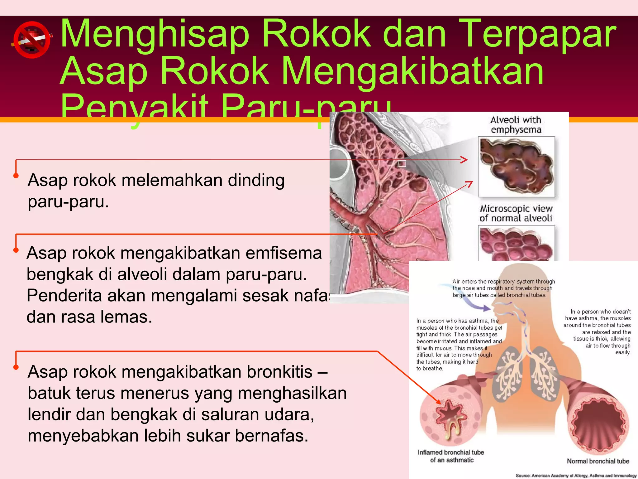 Tutorial Menghisap Rokok Rokok itu berbahaya !!! | PPT