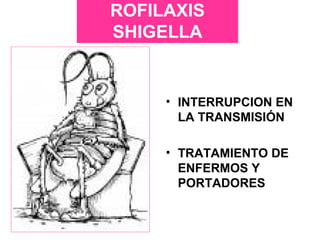 ROFILAXIS
SHIGELLA
• INTERRUPCION EN
LA TRANSMISIÓN
• TRATAMIENTO DE
ENFERMOS Y
PORTADORES
 