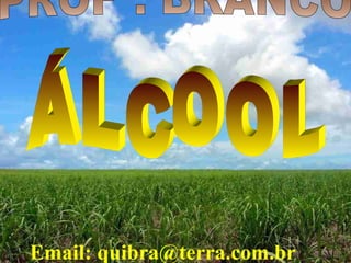 Email: quibra@terra.com.br
 