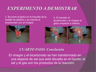 EXPERIMENTO A DEMOSTRAR
3. Se pone el globo en la boquilla de la
botella de plástico y se mezcla el
bicarbonato con el vinagre.
CUARTO PASO. Conclusión
4. Al mezclar el
bicarbonato y el vinagre el
globo empieza a inflarse.
El vinagre y el bicarbonato se han transformado en
una especie de sal que está disuelta en el líquido; la
sal y el gas son los productos de la reacción.
 