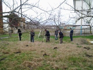 презентация13