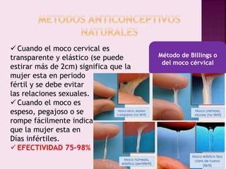 Método de Billings o
del moco cérvical
 Cuando el moco cervical es
transparente y elástico (se puede
estirar más de 2cm) significa que la
mujer esta en periodo
fértil y se debe evitar
las relaciones sexuales.
 Cuando el moco es
espeso, pegajoso o se
rompe fácilmente indica
que la mujer esta en
Días infértiles.
 EFECTIVIDAD 75-98%
 