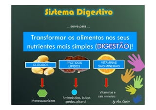 Sistema Digestivo
Transformar os alimentos nos seus
nutrientes mais simples (DIGESTÃO)!
... serve para ...
by Ana KastroMonossacarídeos
Vitaminas e
sais mineraisAminoácidos, ácidos
gordos, glicerol
GLÚCIDOSGLÚCIDOS
PRÓTIDOS
LÍPIDOS
PRÓTIDOS
LÍPIDOS
VITAMINAS
SAIS MINERAIS
VITAMINAS
SAIS MINERAIS
 