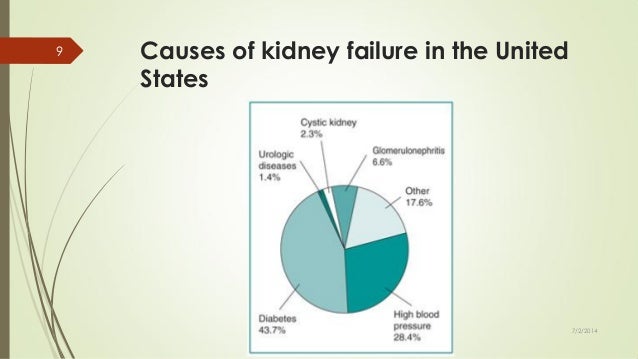 Hypertension and renal diseases