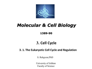 Molecular & Cell Biology
S. Rahgozar,PhD
University of Isfahan
Faculty of Science
3. Cell Cycle
3. 1. The Eukaryotic Cell Cycle and Regulation
1389-90
 