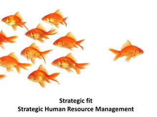 Strategic fit
Strategic Human Resource Management
 