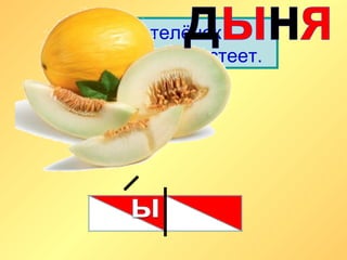 Золотой телёнок
На привязи толстеет.