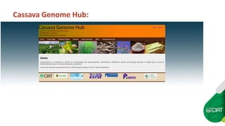 Cassava Genetics’  Data Management, Processing and Sharing Platform