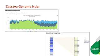 Cassava Genetics’  Data Management, Processing and Sharing Platform