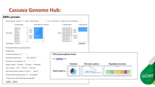 Cassava Genetics’  Data Management, Processing and Sharing Platform