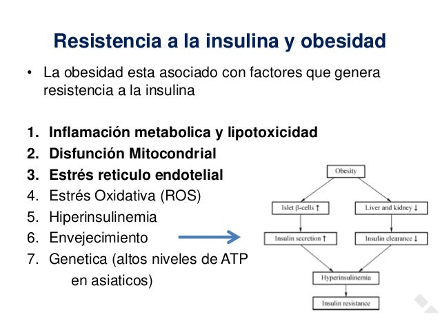 Mecanismos de resistencia a la insulina en obesidad Mecanismos de resistencia a la insulina en obesidad