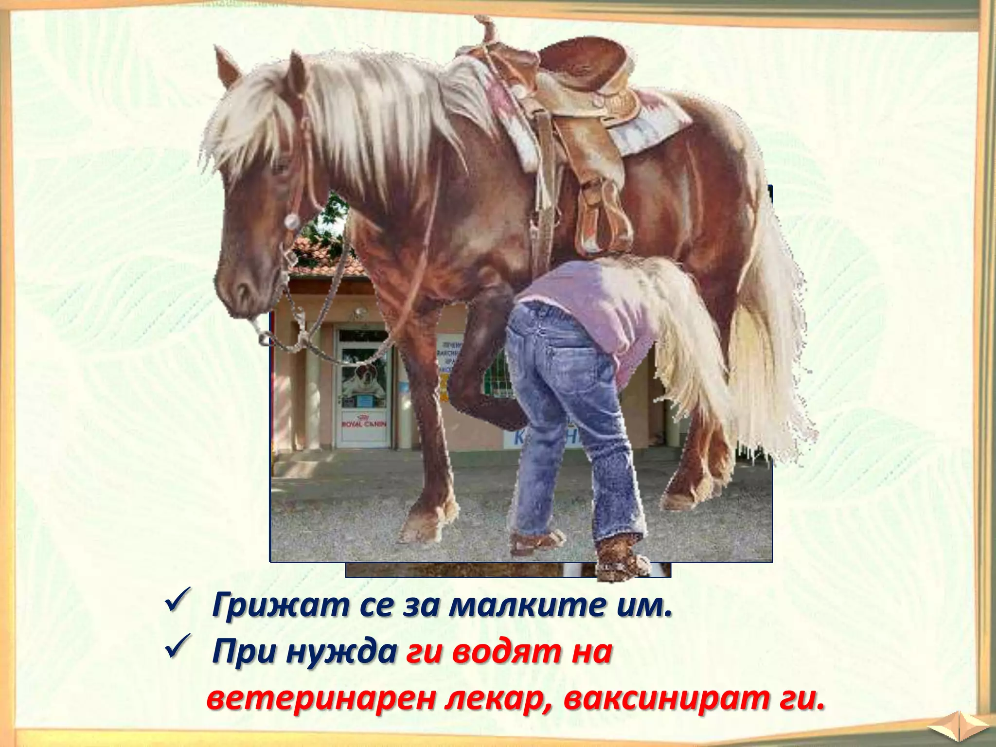  Грижат се за малките им.
 При нужда ги водят на
ветеринарен лекар, ваксинират ги.
 