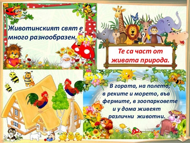 13. Диви и домашни животни - РК, Просвета - В. П.
