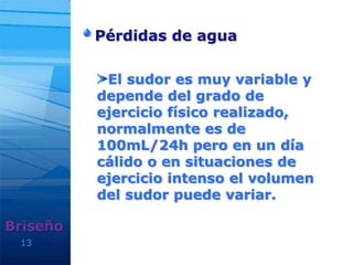 13
Pérdidas de agua
Briseño
El sudor es muy variable y
depende del grado de
ejercicio físico realizado,
normalmente es de
100mL/24h pero en un día
cálido o en situaciones de
ejercicio intenso el volumen
del sudor puede variar.
 