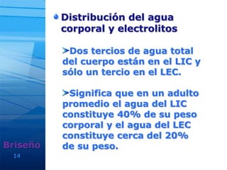 14
Distribución del agua
corporal y electrolitos
Briseño
Dos tercios de agua total
del cuerpo están en el LIC y
sólo un tercio en el LEC.
Significa que en un adulto
promedio el agua del LIC
constituye 40% de su peso
corporal y el agua del LEC
constituye cerca del 20%
de su peso.
 