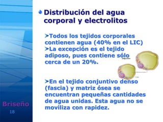 18
Distribución del agua
corporal y electrolitos
Briseño
Todos los tejidos corporales
contienen agua (40% en el LIC)
La excepción es el tejido
adiposo, pues contiene sólo
cerca de un 20%.
En el tejido conjuntivo denso
(fascia) y matriz ósea se
encuentran pequeñas cantidades
de agua unidas. Esta agua no se
moviliza con rapidez.
 