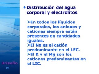 19
Distribución del agua
corporal y electrolitos
Briseño
En todos los líquidos
corporales, los aniones y
cationes siempre están
presentes en cantidades
iguales.
El Na es el catión
predominante en el LEC.
El K y el Mg son los
cationes predominantes en
el LIC.
 