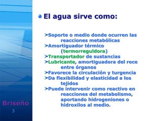 3
El agua sirve como:
Briseño
Soporte o medio donde ocurren las
reacciones metabólicas
Amortiguador térmico
(termorreguldora)
Transportador de sustancias
Lubricante, amortiguadora del roce
entre órganos
Favorece la circulación y turgencia
Da flexibilidad y elasticidad a los
tejidos
Puede intervenir como reactivo en
reacciones del metabolismo,
aportando hidrogeniones o
hidroxilos al medio.
 
