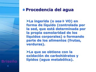 4
Procedencia del agua
Briseño
La ingerida (o sea VO) en
forma de líquido (controlada por
la sed, que está determinada por
la propia osmolaridad de los
líquidos corporales) o formando
parte de los alimentos (frutas,
verduras).
La que se obtiene con la
oxidación de carbohidratos y
lípidos (agua metabólica).
 