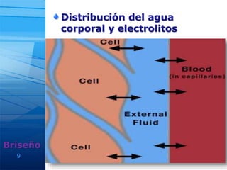 9
Distribución del agua
corporal y electrolitos
Briseño
 
