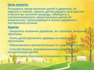 Цель проекта:
Расширить представления детей о деревьях, их
красоте и пользе, помочь детям увидеть всю красоту
и богатства осенней природы, обобщить и
систематизировать представления детей об
изменениях, происходящих в жизни деревьев и
кустарников осенью.
Задачи:
- Закрепить названия деревьев, их строение, внешние
признаки;
- Учить детей различать деревья по внешним
признакам;
- Образовывать прилагательные от существительных ;
- Способствовать познавательному развитию,
социализации детей;
- Воспитывать бережное отношение к природе.
 