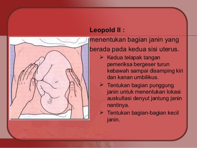 13. asuhan kehamilan kunjungan ulang