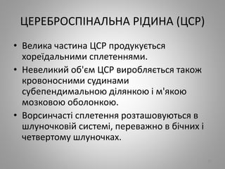 ЦЕРЕБРОСПІНАЛЬНА РІДИНА (ЦСР)
• Велика частина ЦСР продукується
хореїдальними сплетеннями.
• Невеликий об'єм ЦСР виробляється також
кровоносними судинами
субепендимальною ділянкою і м'якою
мозковою оболонкою.
• Ворсинчасті сплетення розташовуються в
шлуночковій системі, переважно в бічних і
четвертому шлуночках.
27
 