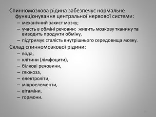 Спинномозкова рідина забезпечує нормальне
функціонування центральної нервової системи:
– механічний захист мозку;
– участь в обміні речовин: живить мозкову тканину та
виводить продукти обміну,
– підтримує сталість внутрішнього середовища мозку.
Склад спинномозкової рідини:
– вода,
– клітини (лімфоцити),
– білкові речовини,
– глюкоза,
– електроліти,
– мікроелементи,
– вітаміни,
– гормони.
29
 