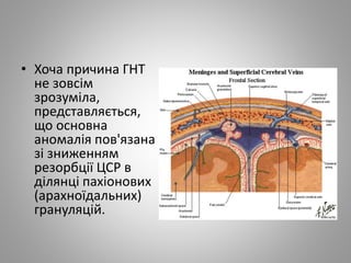 • Хоча причина ГНТ
не зовсім
зрозуміла,
представляється,
що основна
аномалія пов'язана
зі зниженням
резорбції ЦСР в
ділянці пахіонових
(арахноїдальних)
грануляцій.
 